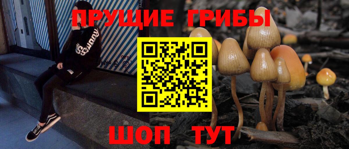 Богородицк  Псилоцибиновые грибы ЛСД  Вход с VPN 